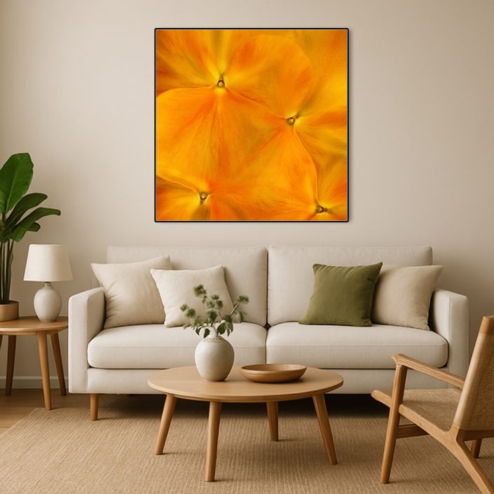 Macro,photography,orange,flower,petals,fine art wall decor,