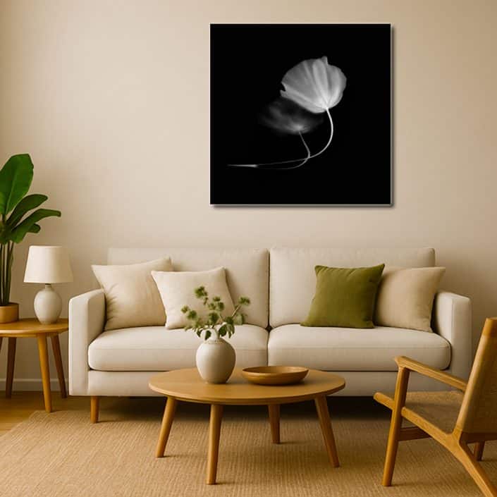 fine art flower photography, black and white floral photo, minimalist wall art, macro flower print,