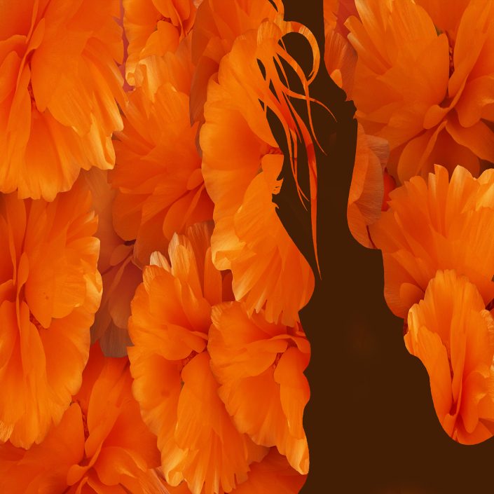Feeling, look, flowers, yellow, woman, man, lovers, art, Mehran-Akhzari